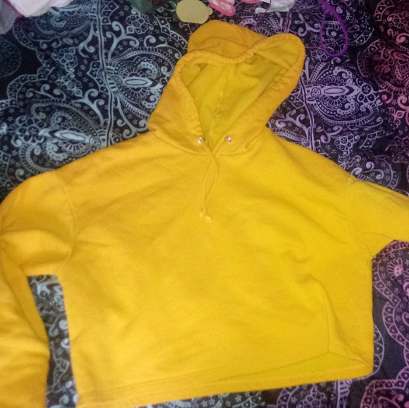 plain crop top hoodie